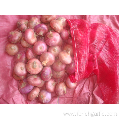 New crop Red onion